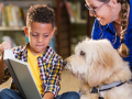 A young boy, cozily sitting in the library, reading to a BARK Therapy Dog and the dog's happy owner.