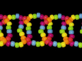 Beaded rainbow bracelets on a black background.