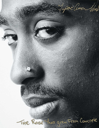 Book cover: The Rose That Grew From Concrete